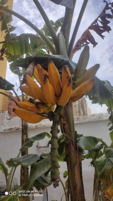 Precioso Apartamento Con A/A En Ruzafa Con Terracita Privada Y Acceso A Un Jardin, Para 2-3 Personas Valência Exterior foto